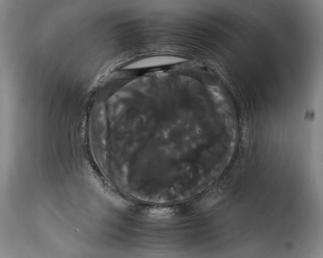 X0000114620357200911101219