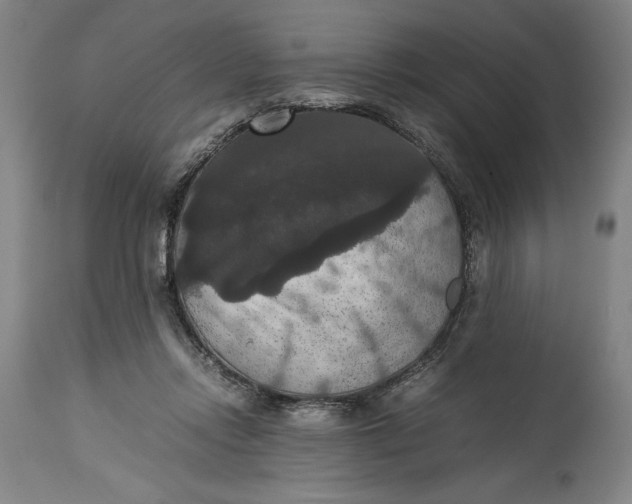 X0000114620358200911101219