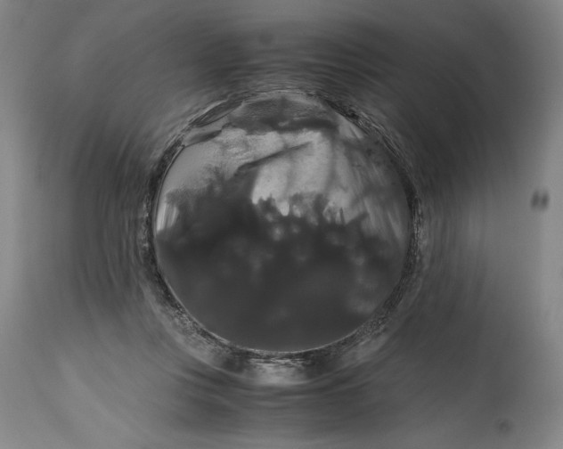 X0000114620359200911101219