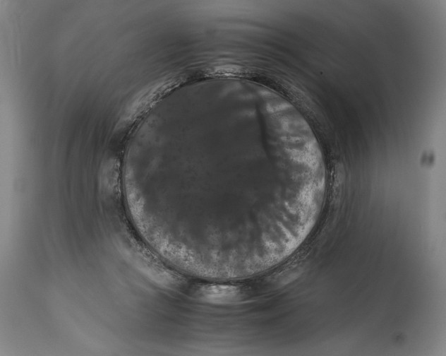 X0000114620361200911101219