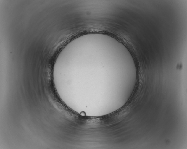 X0000114620362200911101219