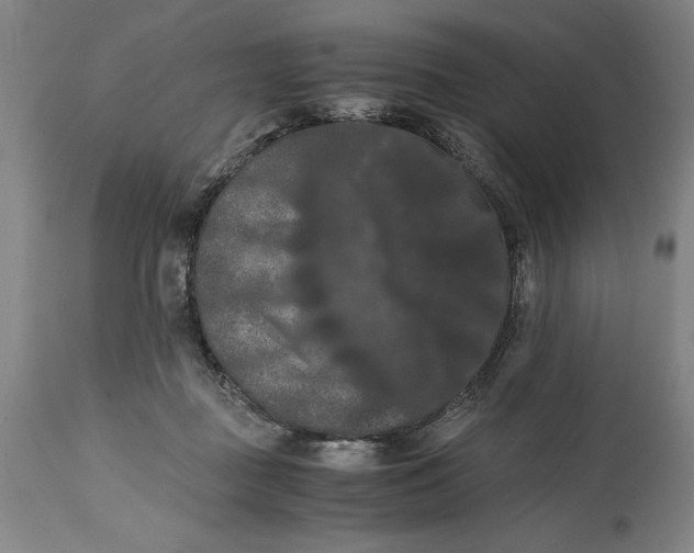 X0000114620363200911101219