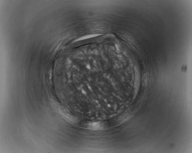 X0000114620365200911101219