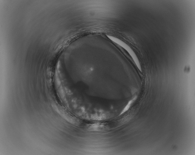 X0000114620366200911101219