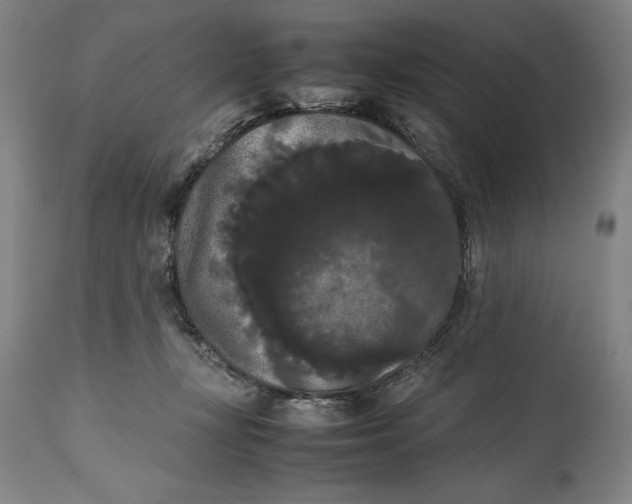 X0000114620367200911101219