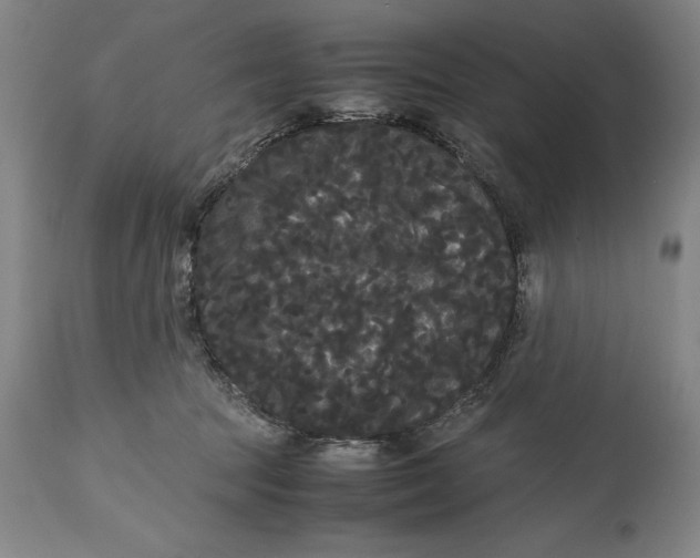 X0000114620369200911101219