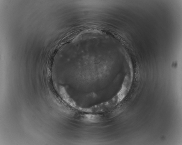 X0000114620371200911101219