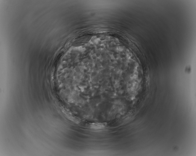 X0000114620373200911101219