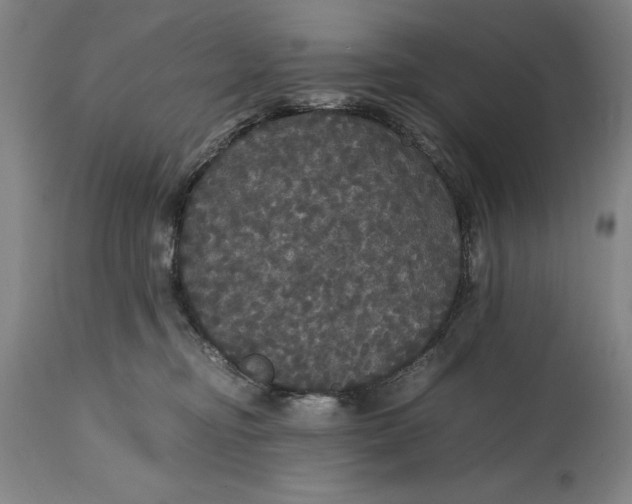 X0000114620374200911101219