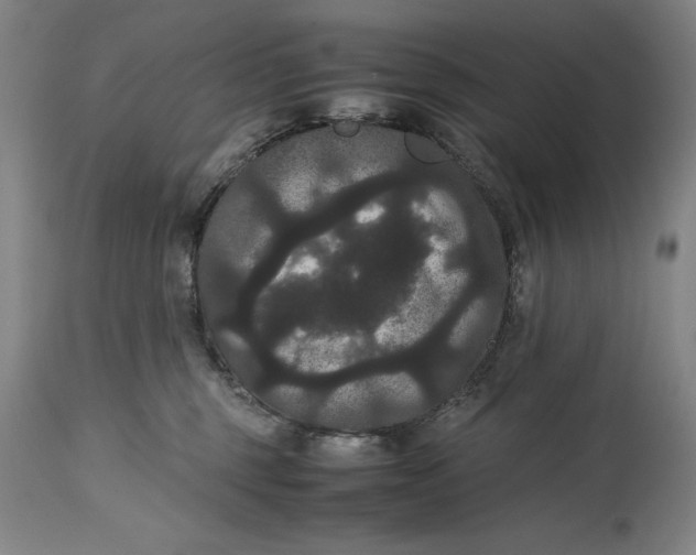 X0000114620375200911101219