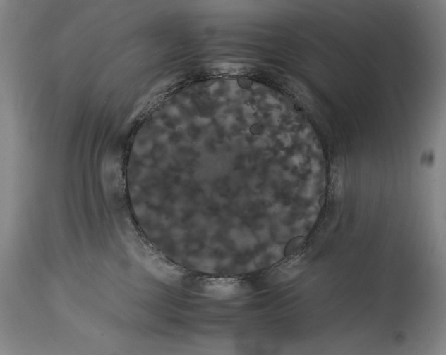 X0000114620377200911101219