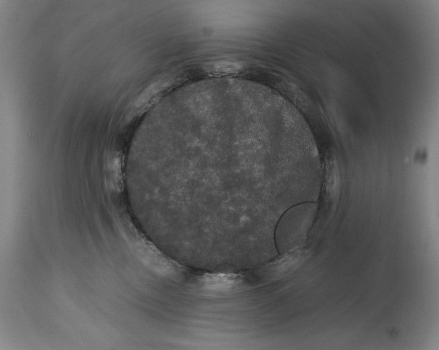 X0000114620378200911101219