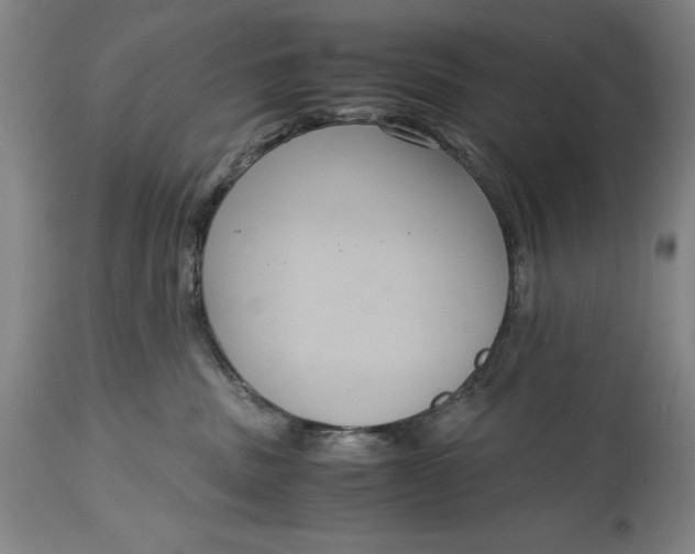 X0000114620379200911101219