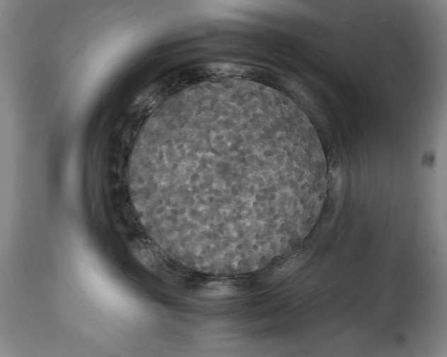 X0000114620381200911101219