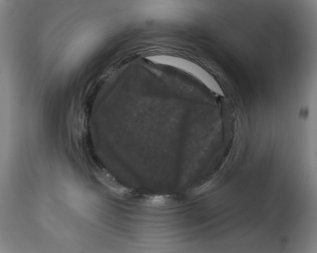 X0000114620382200911101220