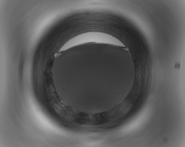 X0000114620383200911101220