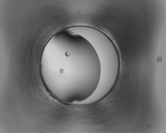 X0000114620385200911101219