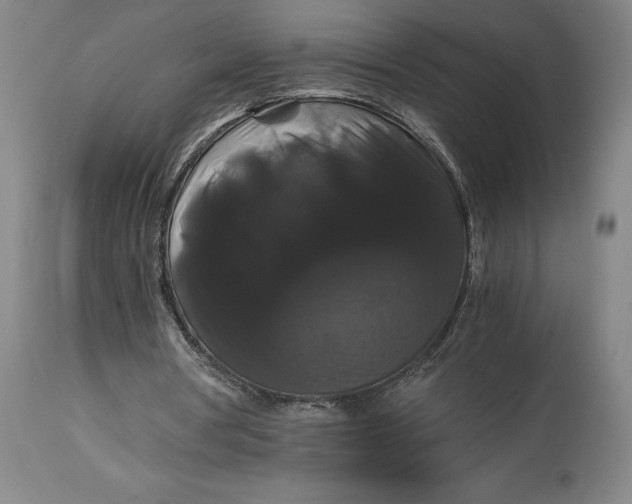 X0000114620386200911101219