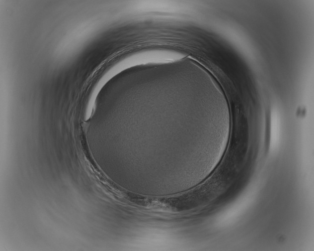 X0000114620387200911101219