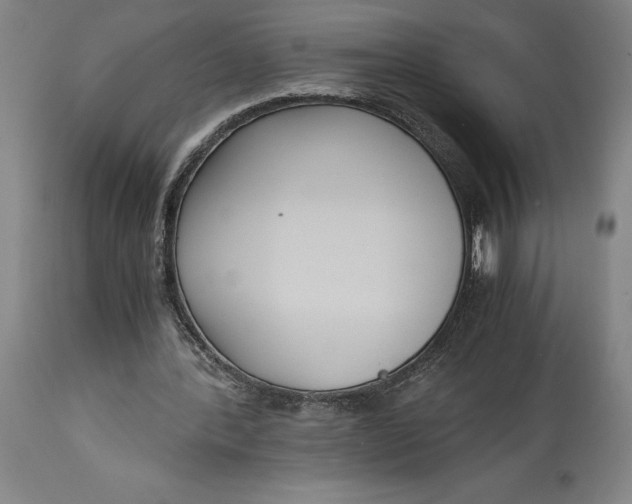 X0000114620388200911101219