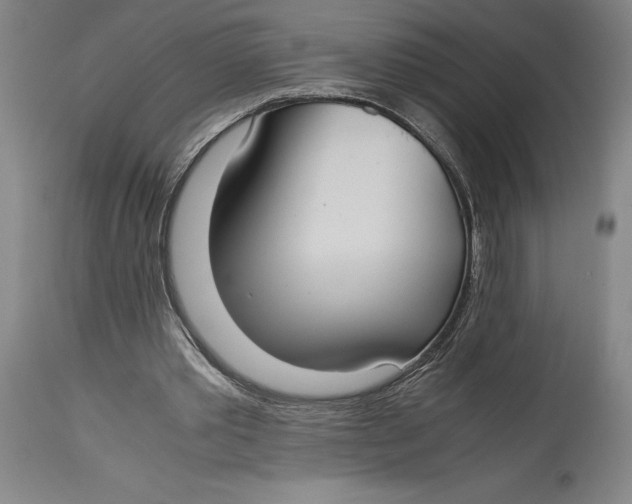 X0000114620389200911101219