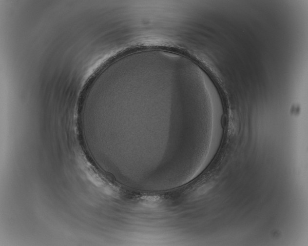 X0000114620391200911101219
