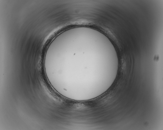 X0000114620392200911101219