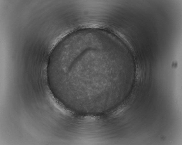 X0000114620394200911101219