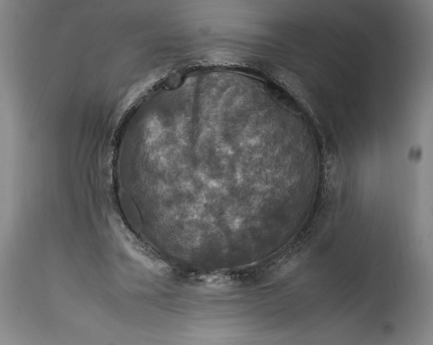 X0000114620395200911101219