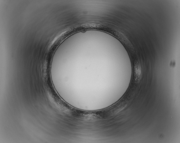 X0000114620396200911101219