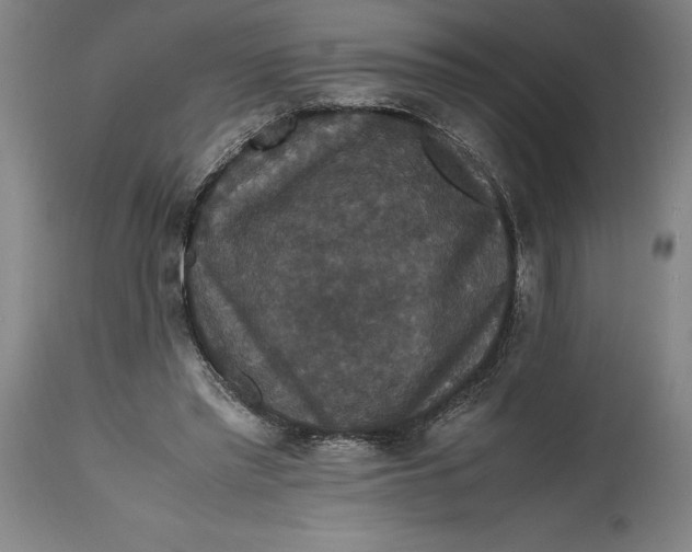 X0000114620397200911101219