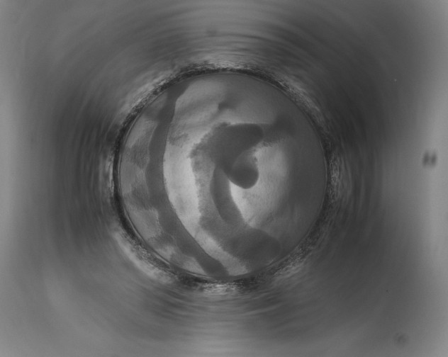 X0000114620398200911101219