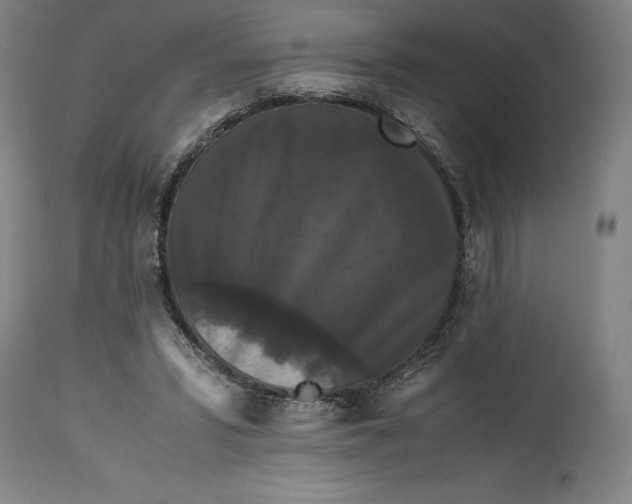X0000114620399200911101219