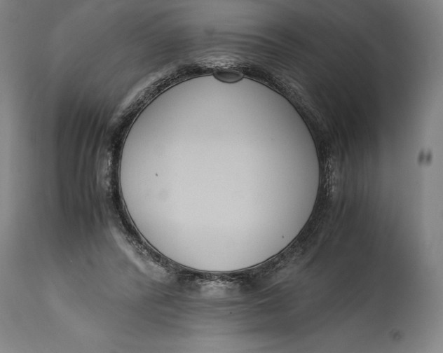 X0000114620400200911101218