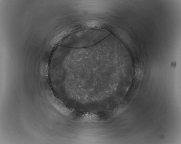 X0000114620403200911101218