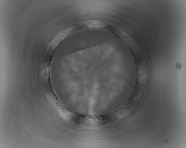 X0000114620405200911101218