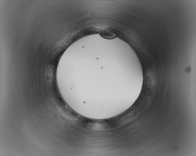 X0000114620412200911101218