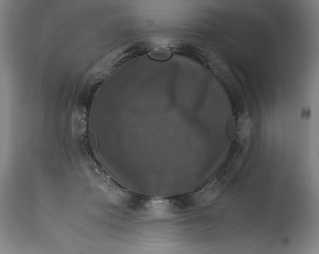 X0000114620413200911101218