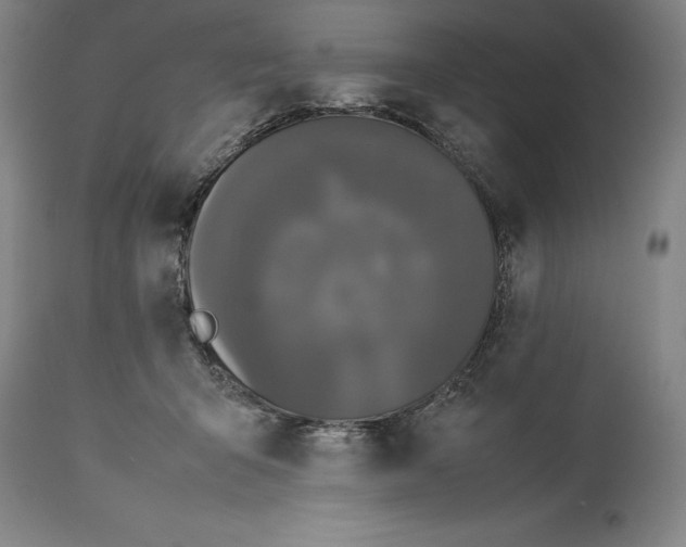 X0000114620415200911101218