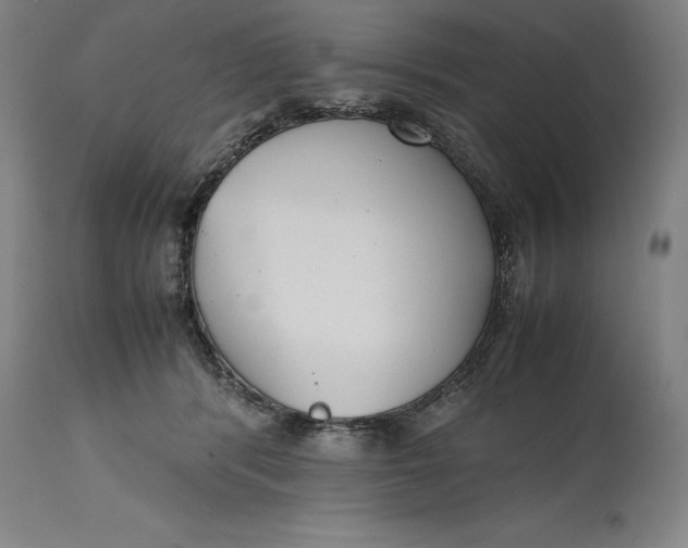 X0000114620416200911101218