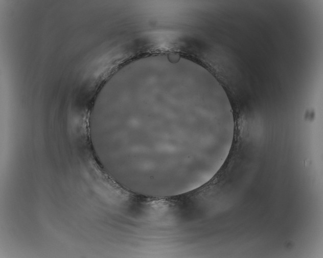 X0000114620423200911101218