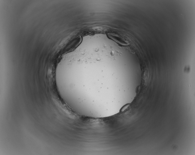 X0000114620424200911101218