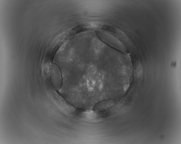 X0000114620425200911101218