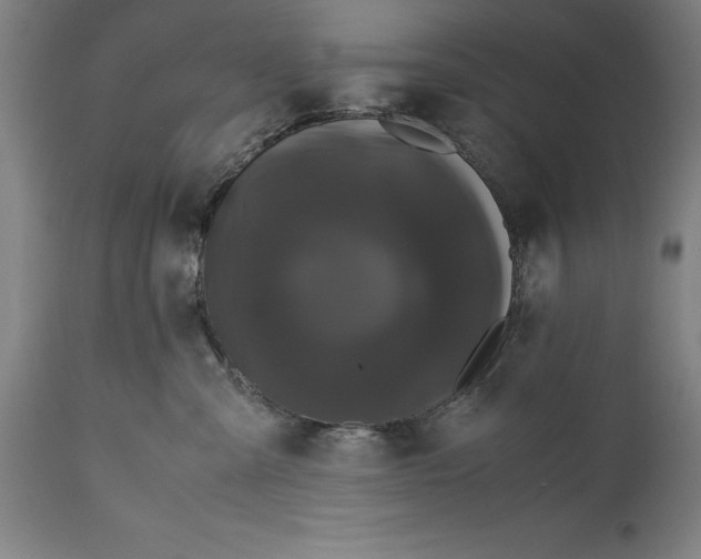 X0000114620427200911101218
