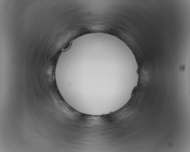 X0000114620428200911101218