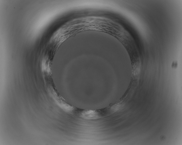 X0000114620431200911101218