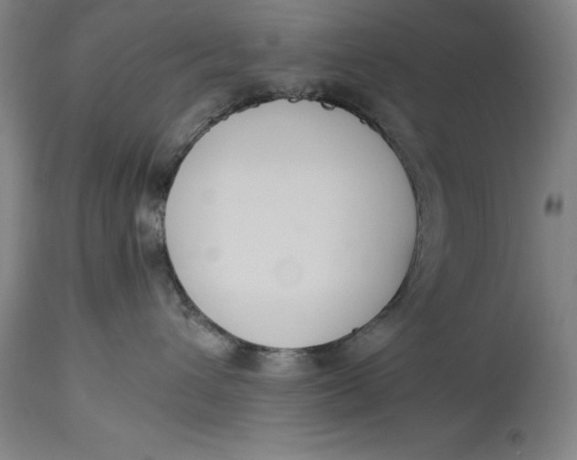 X0000114620432200911101218