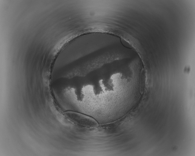 X0000114620434200911101217