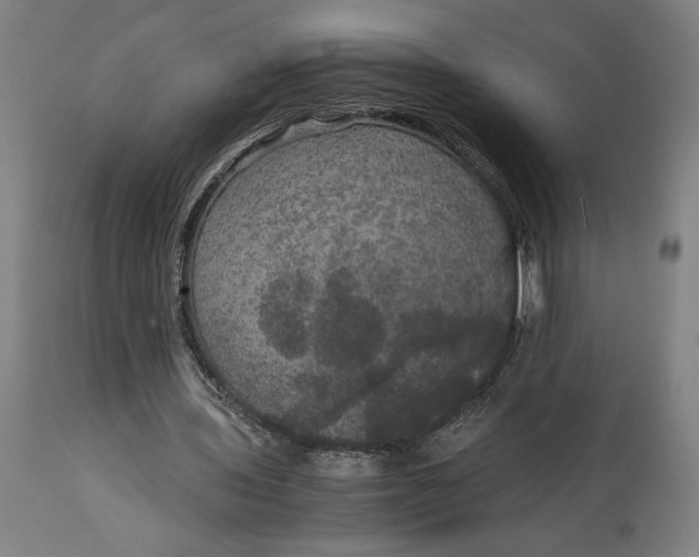 X0000114620435200911101217