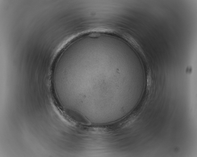 X0000114620436200911101217